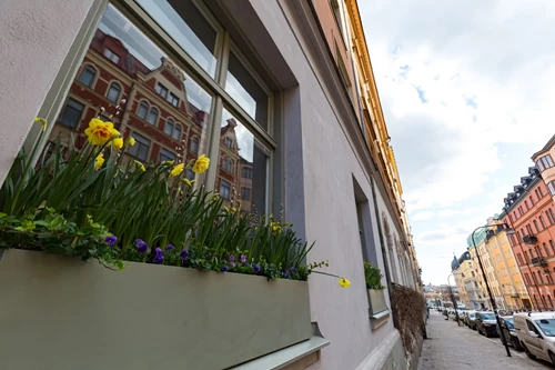 Bild Grev Magnigatan