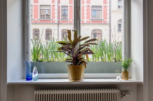 Grev Magnigatan Östermalm