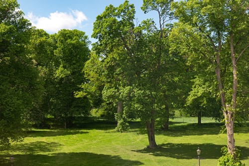 Bild Lennartsnäs Slott 1